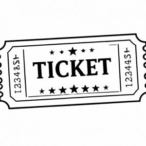 Festival Observer pass